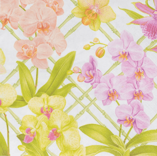 Caspari Orchid Conservatory Dinner Napkins - 20 Per Package 18370D