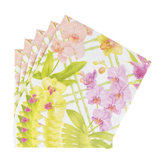 Caspari Orchid Conservatory Napkin Luncheon 18370L