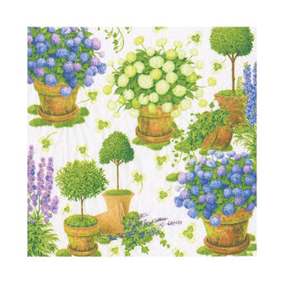 Caspari Potted Hydrangeas Napkin Luncheon 18390L