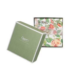 Caspari Christmas Chinoiserie White Boxed Cocktail Napkins - includes 12 Boxed Cocktail Napkins 18680B
