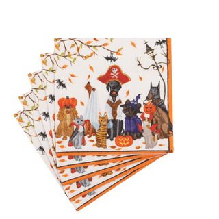 Caspari Halloween Pets Recycled Cocktail Napkins - includes 20 Cocktail Napkins 18800EC