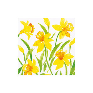 Caspari Spring Herald Boxed Cocktail Napkins - 40 per box 18980B