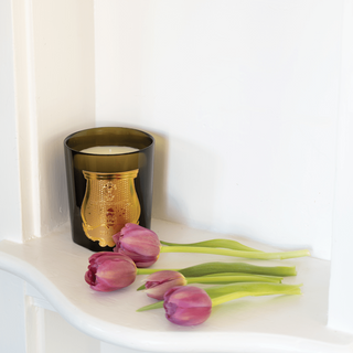 Trudon Trudon Classic Scented Candle - Josephine 20588