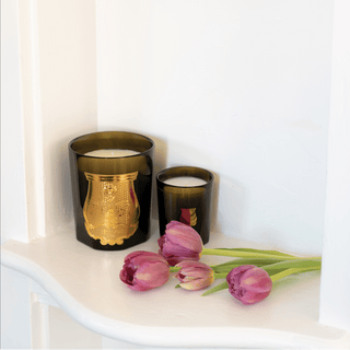 Trudon Trudon Petite Scented Candle - Cyrnos 20597