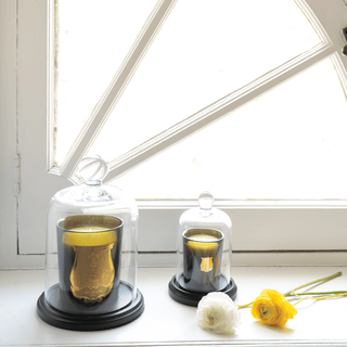Trudon Trudon Petite Scented Candle - Josephine 20600