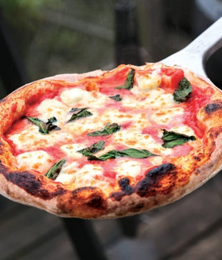 Penguin Random House Backyard Pizza 21119