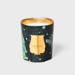 Trudon Trudon Classic Scented Candle - Fir 22121