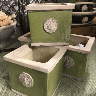 Botanical Collections Kew Garden Square Herb Pot -  Moss Green 22832