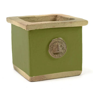 Botanical Collections Kew Garden Square Herb Pot -  Moss Green 22832