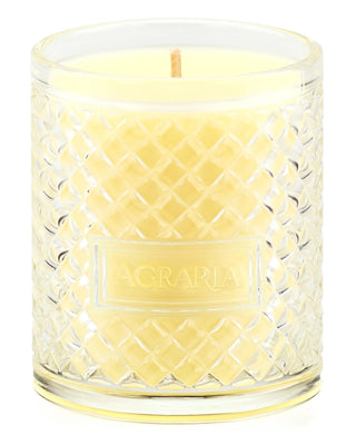 Agraria Agraria Large Crystal Candle in Bitter Orange - 1 Each 26607