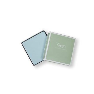 Caspari Soft Aqua Square Lizard Coasters - set of 8 4026CC