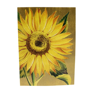 Caspari Sunflower Assorted Notes 8 In 79614.46