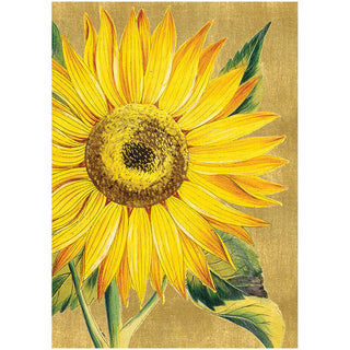 Caspari Sunflower Assorted Notes 8 In 79614.46