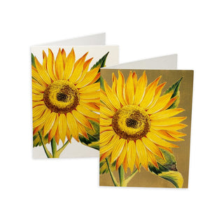 Caspari Sunflower Assorted Notes 8 In 79614.46