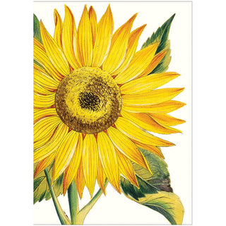 Caspari Sunflower Assorted Notes 8 In 79614.46