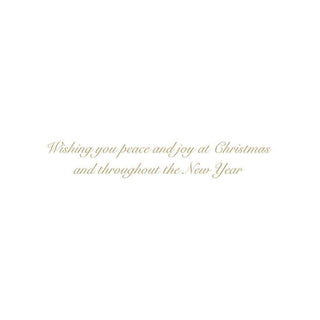 Caspari Nativity In Snow Boxed Christmas Cards - 16 Christmas Cards & 16 Envelopes 82245
