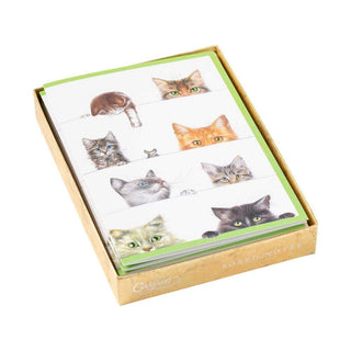 Caspari Kitties Assorted Notes 8 In 84608.46