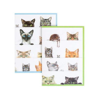 Caspari Kitties Assorted Notes 8 In 84608.46