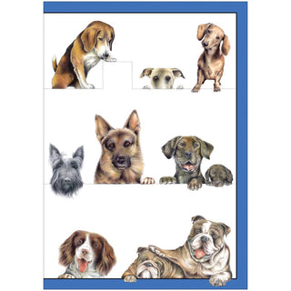 Caspari Dogs Assorted Notes 8 In 84609.46