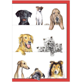 Caspari Dogs Assorted Notes 8 In 84609.46