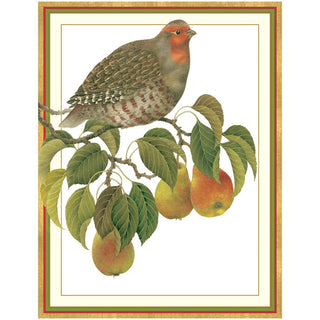 Caspari Partridge In Pear Branch Large Boxed Christmas Cards - 16 Cards and 16 Envelopes 85322