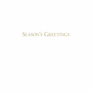 Caspari Spring Snow Over Central Park Large Boxed Christmas Cards - 16 Cards and 16 Envelopes 86318
