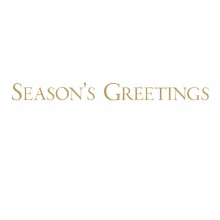 Caspari Spring Snow Over Central Park Large Boxed Christmas Cards - includes 15 cards & envelopes 86318