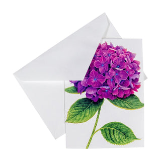 Caspari Hydrangeas Assorted Notes 8 In 86609.46