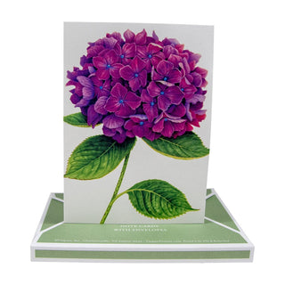 Caspari Hydrangeas Assorted Notes 8 In 86609.46