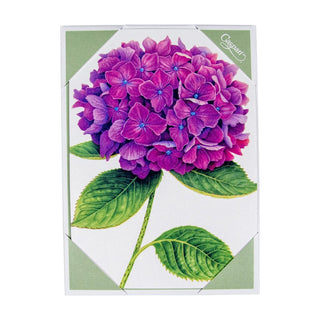 Caspari Hydrangeas Assorted Notes 8 In 86609.46
