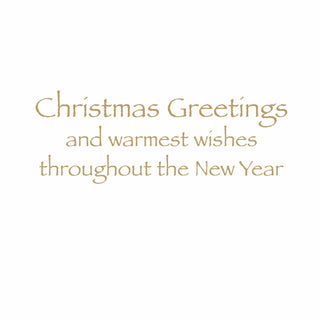 Caspari Trumpeting Angel Large Boxed Christmas Cards - includes 15 cards & envelopes 87301