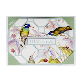 Caspari Hummingbird Trellis Thank You Notes Boxed 8 In 89612.44B