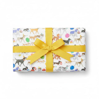 Caspari Winston and Friends Roll Wrap 30 Inch X 8Ft-2 Inch Core 8987RC