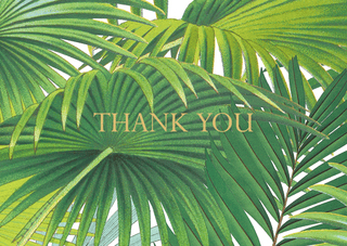 Caspari Palm Fronds Foil Thank You Notes - 8 Note Cards And Envelopes 90619.44B