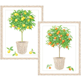 Caspari Citrus Topiaries Embossed Asst A Sz Note 10-In Embossed 92611.46A