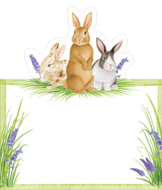 Caspari Bunnies And Daffodils Place Card 8 In Die-Cut 92905P