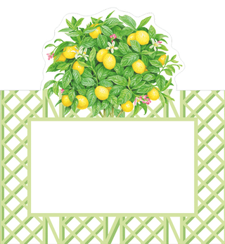 Caspari Citrus Topiaries Place Card 8 In Die-Cut 92907P