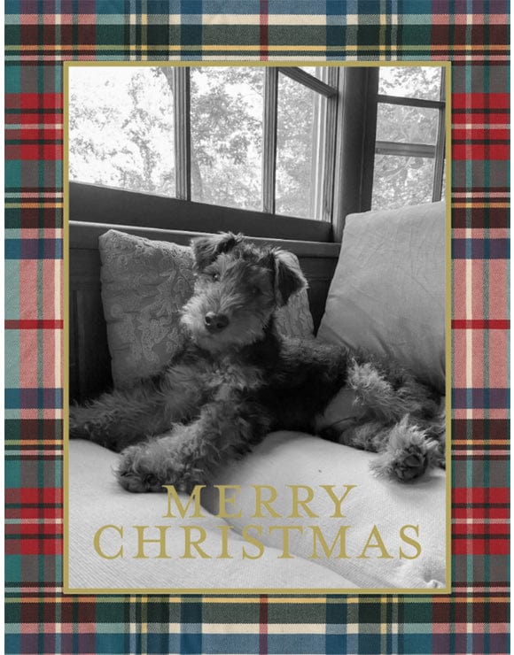 caspari Personalized Dress Stewart Tartan Foil Holiday Photo Cards - Portrait