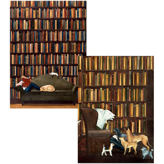 Caspari The Library Assorted Notes 8-In Box          ** 94600.46