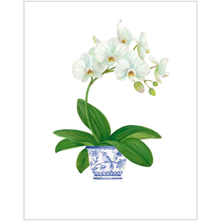 Caspari Potted Orchids Asst A Size Notes 10-In Embossed 94605.46A