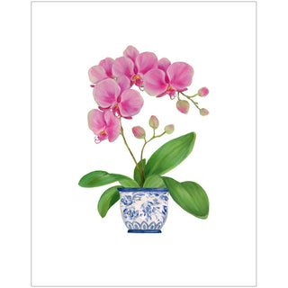 Caspari Potted Orchids Boxed Note Cards - 10 Cards and 10 Envelopes per Package 94605.46A