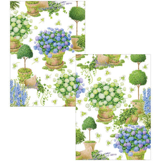 Caspari Potted Hydrangeas Assorted Boxed Note Cards - includes 8 notes & envelopes 95649.46