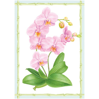 Caspari Orchid Conservatory Assorted Boxed Note Cards - includes 8 notes & envelopes 95650.46