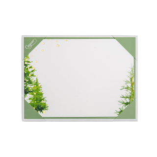 Caspari White Christmas Foil Correspondence Cards - includes 20 Correspondence Cards 95672CCU12