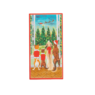 Pets At The Window Money Card - Package of 4 cards with envelopes
