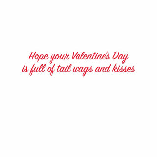 Caspari Black Lab With Gift Valentine Greeting Card - 1 card with envelope 96400-14