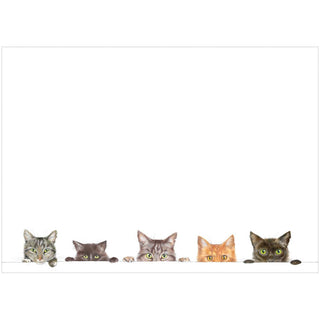 Caspari Kitties Correspondence Cards - includes 12 cards & envelopes 96600CCU12