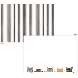 Caspari Kitties Correspondence Cards - includes 12 cards & envelopes 96600CCU12