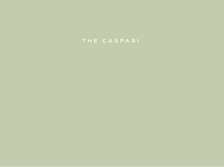 Solid light green color swatch with 'The Caspari' brand name; showcasing the personalization shop