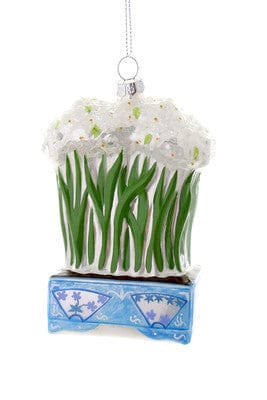 Cody Foster Potted Paperwhites Ornament - 1 Each